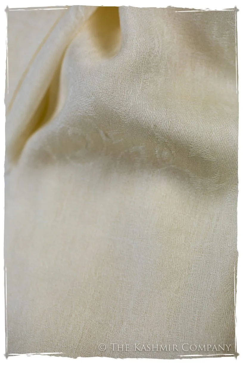 Afterglow Paisley Kashmir Wool Scarf