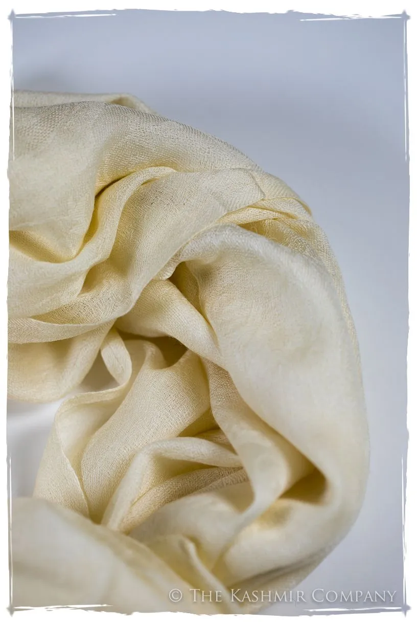 Afterglow Paisley Kashmir Wool Scarf