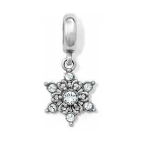 Arctica Charm