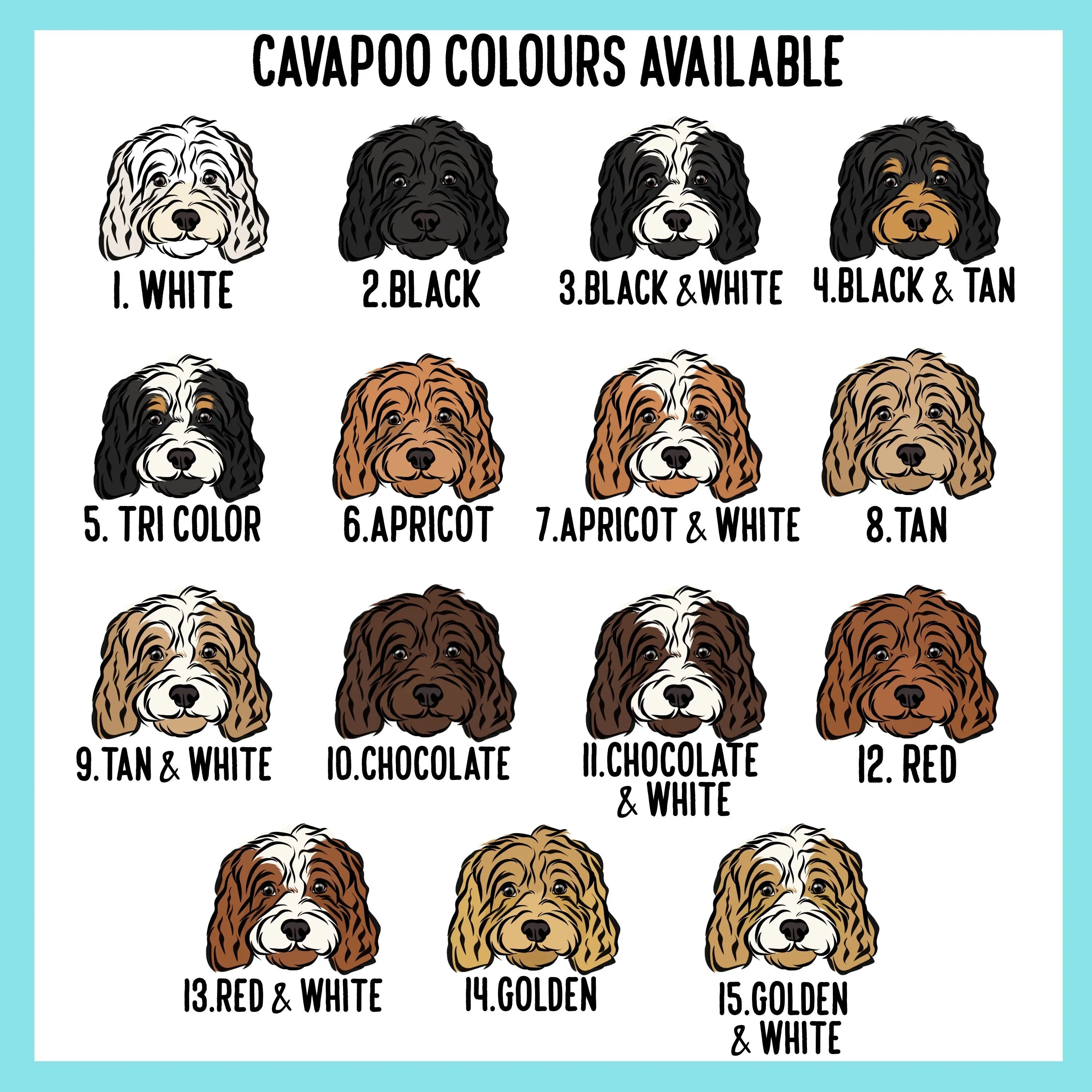 Cavapoo Dog Collar