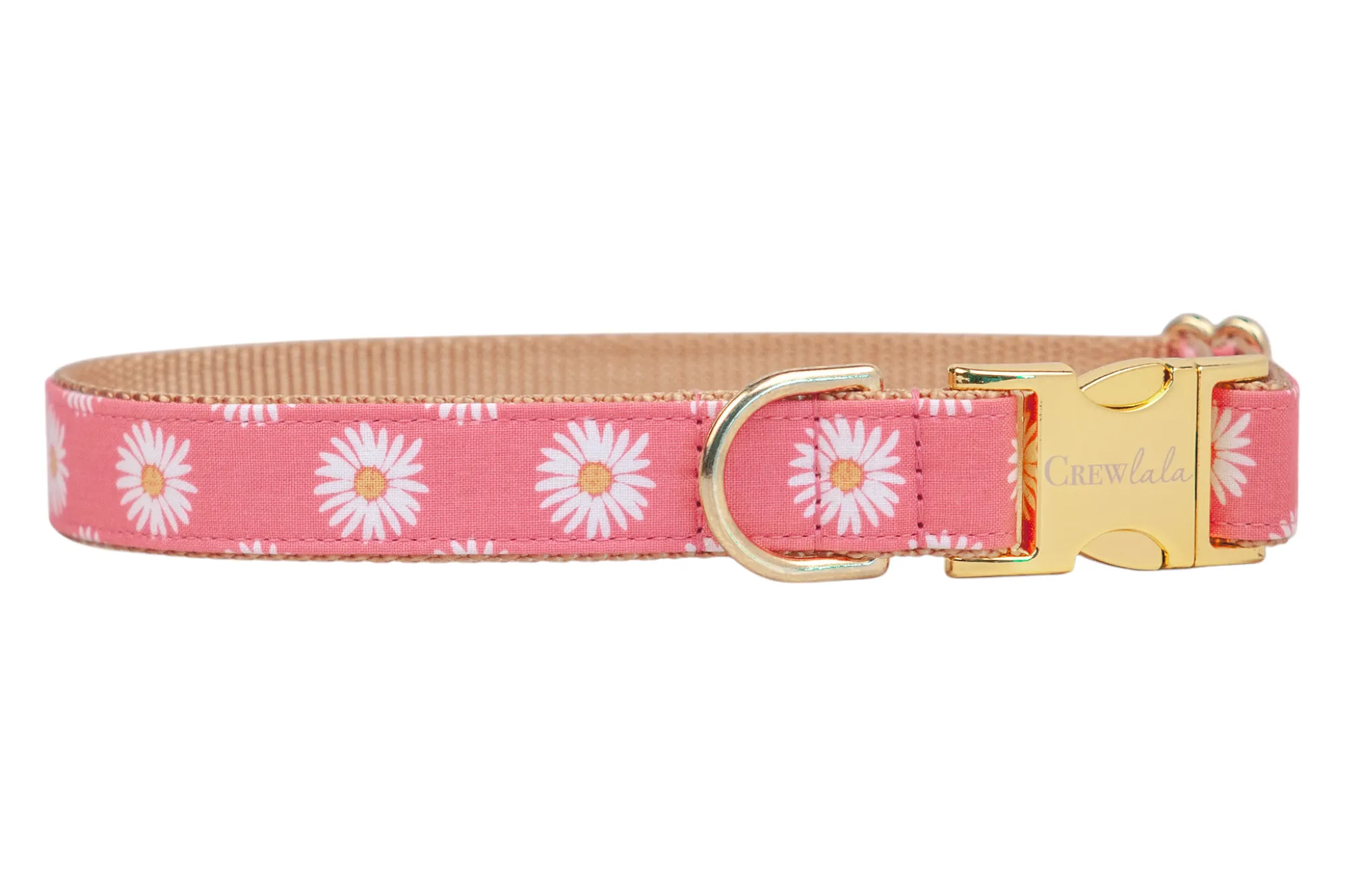 Daisy Crazy Bow Tie Dog Collar