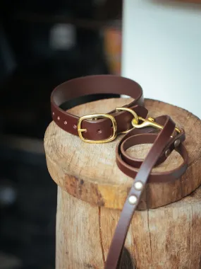 Dog Collar & Leash Set - 32mm Wide - Burgundy