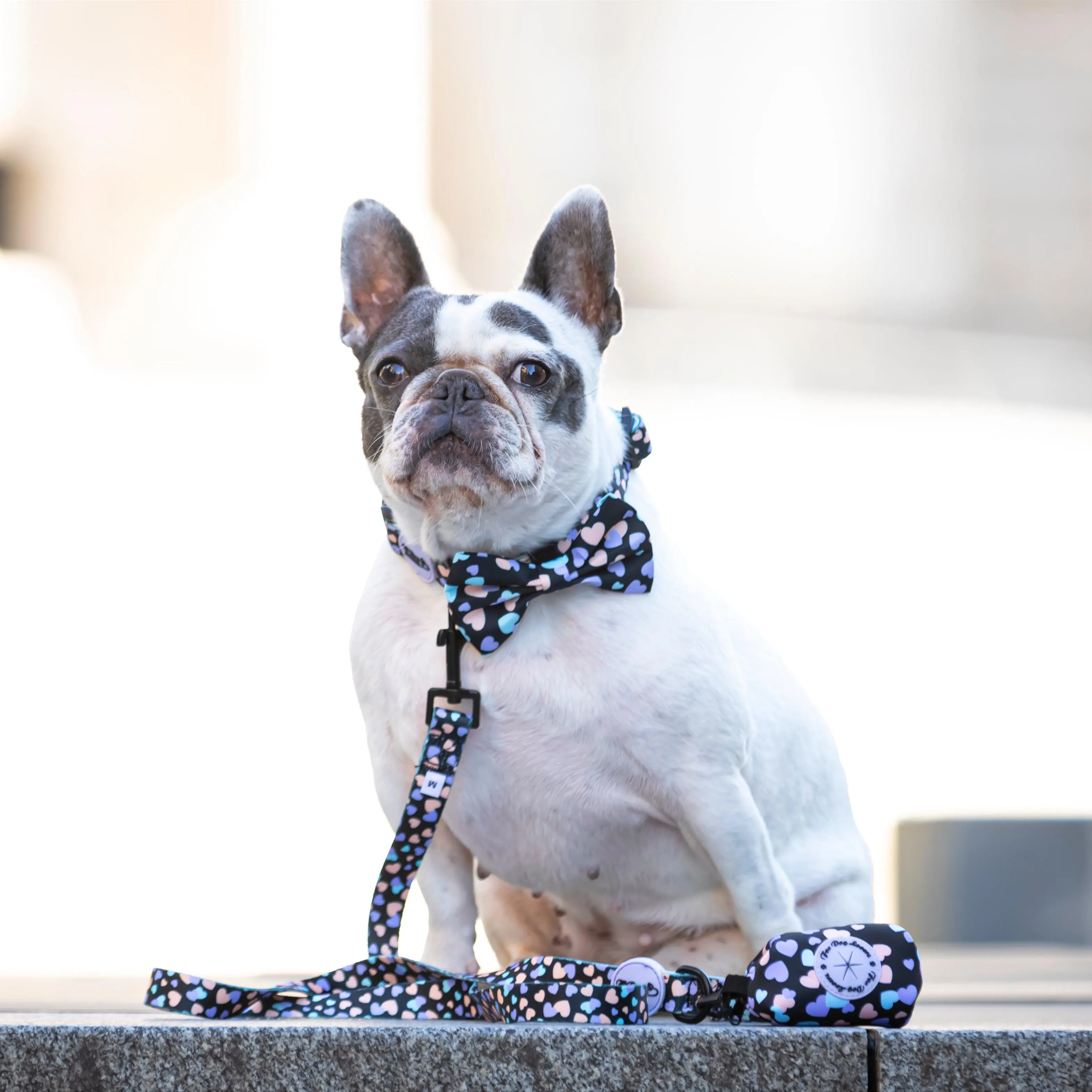 Dog Lead - All You Need Is Love