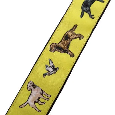 Labrador Retriever Dog Breed Collar or Leash