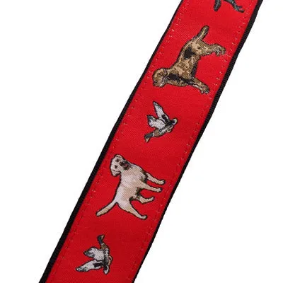 Labrador Retriever Dog Breed Collar or Leash