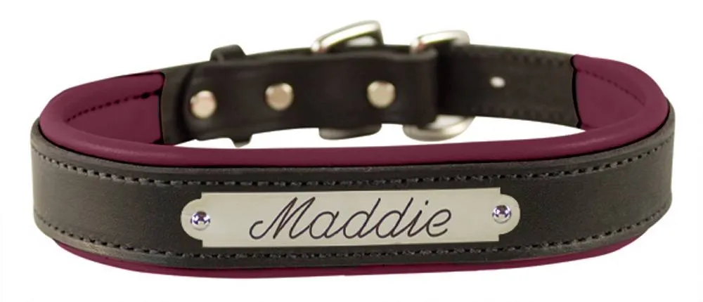 Perri's Black Engraved Padded Leather Dog Collar- with colorful padding- USA made