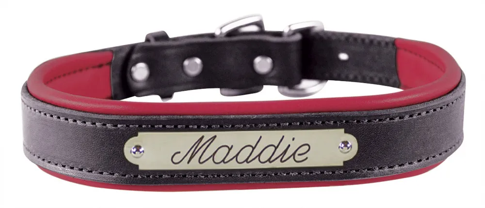 Perri's Black Engraved Padded Leather Dog Collar- with colorful padding- USA made