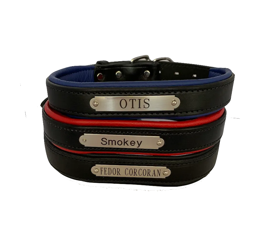 Perri's Black Engraved Padded Leather Dog Collar- with colorful padding- USA made