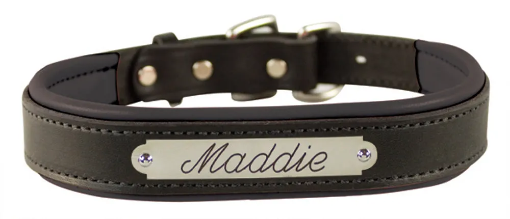 Perri's Black Engraved Padded Leather Dog Collar- with colorful padding- USA made