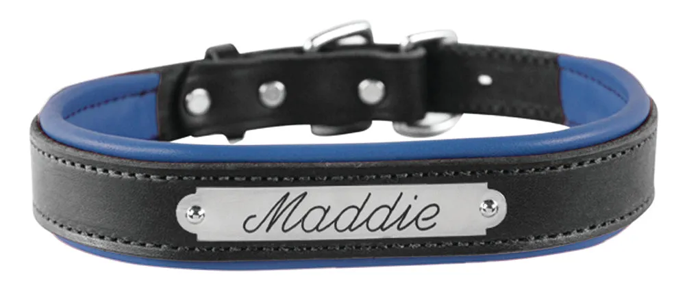 Perri's Black Engraved Padded Leather Dog Collar- with colorful padding- USA made