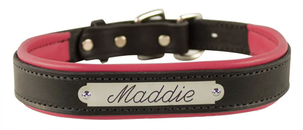 Perri's Black Engraved Padded Leather Dog Collar- with colorful padding- USA made