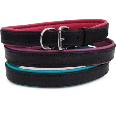 Perri's Black Engraved Padded Leather Dog Collar- with colorful padding- USA made
