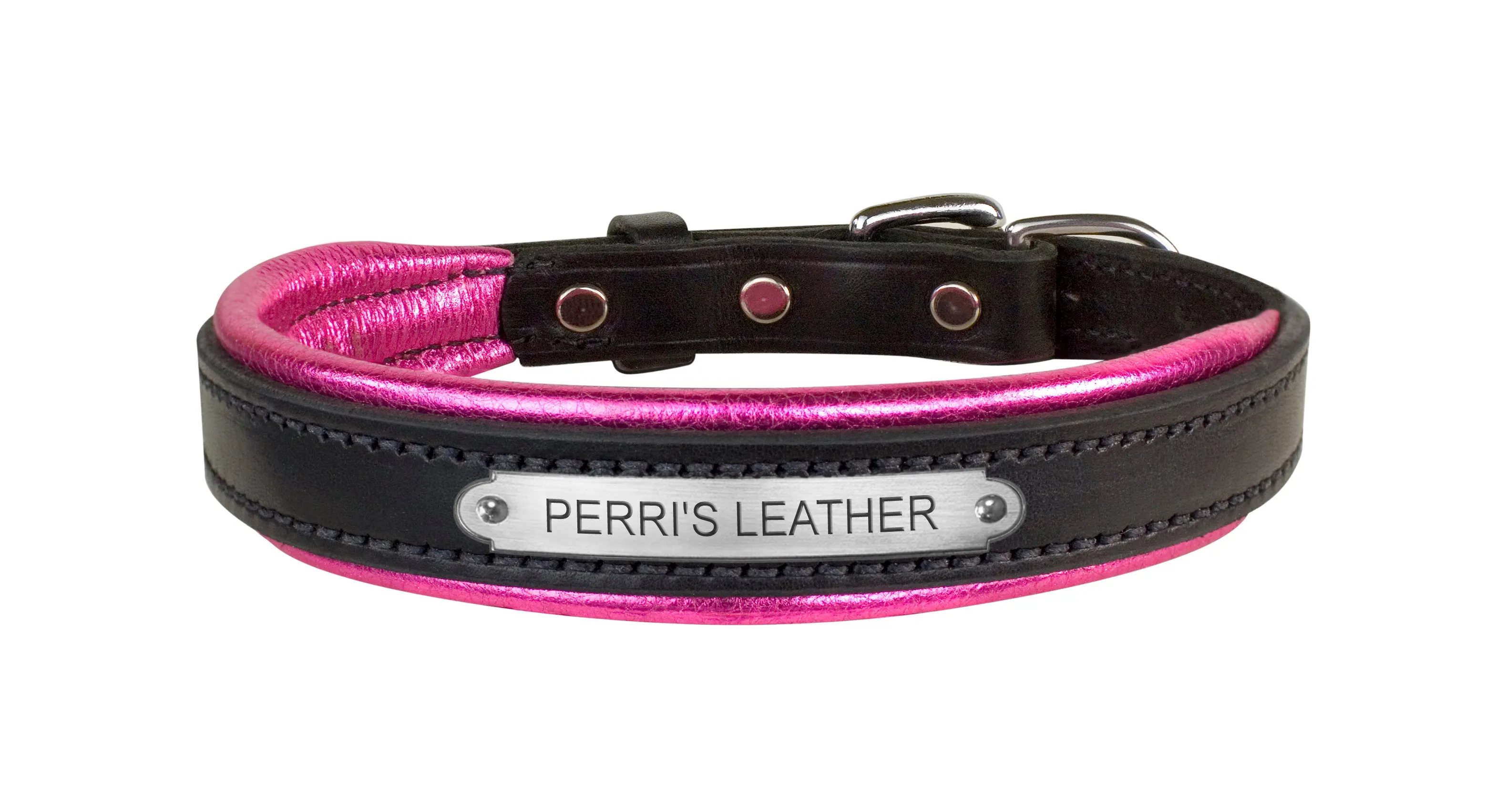 Perri's Black Engraved Padded Leather Dog Collar- with colorful padding- USA made