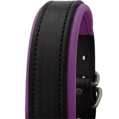 Perri's Black Engraved Padded Leather Dog Collar- with colorful padding- USA made