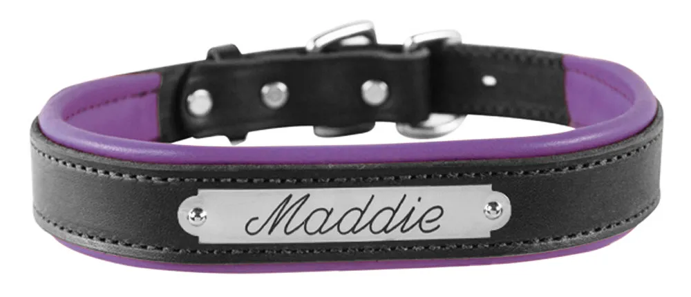 Perri's Black Engraved Padded Leather Dog Collar- with colorful padding- USA made