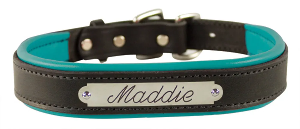 Perri's Black Engraved Padded Leather Dog Collar- with colorful padding- USA made