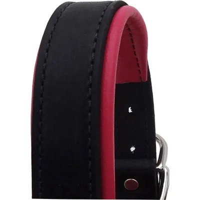 Perri's Black Engraved Padded Leather Dog Collar- with colorful padding- USA made
