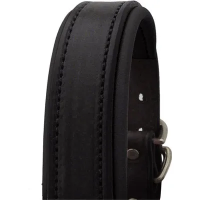 Perri's Black Engraved Padded Leather Dog Collar- with colorful padding- USA made