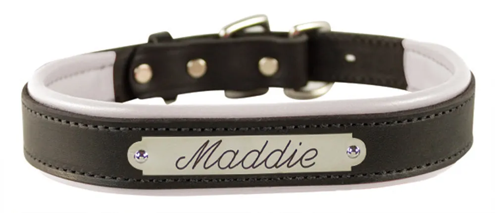 Perri's Black Engraved Padded Leather Dog Collar- with colorful padding- USA made
