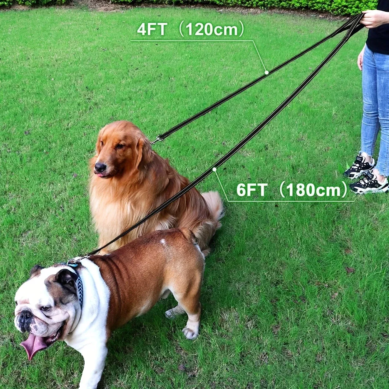 Reflective Long Comfortable Pet Leash