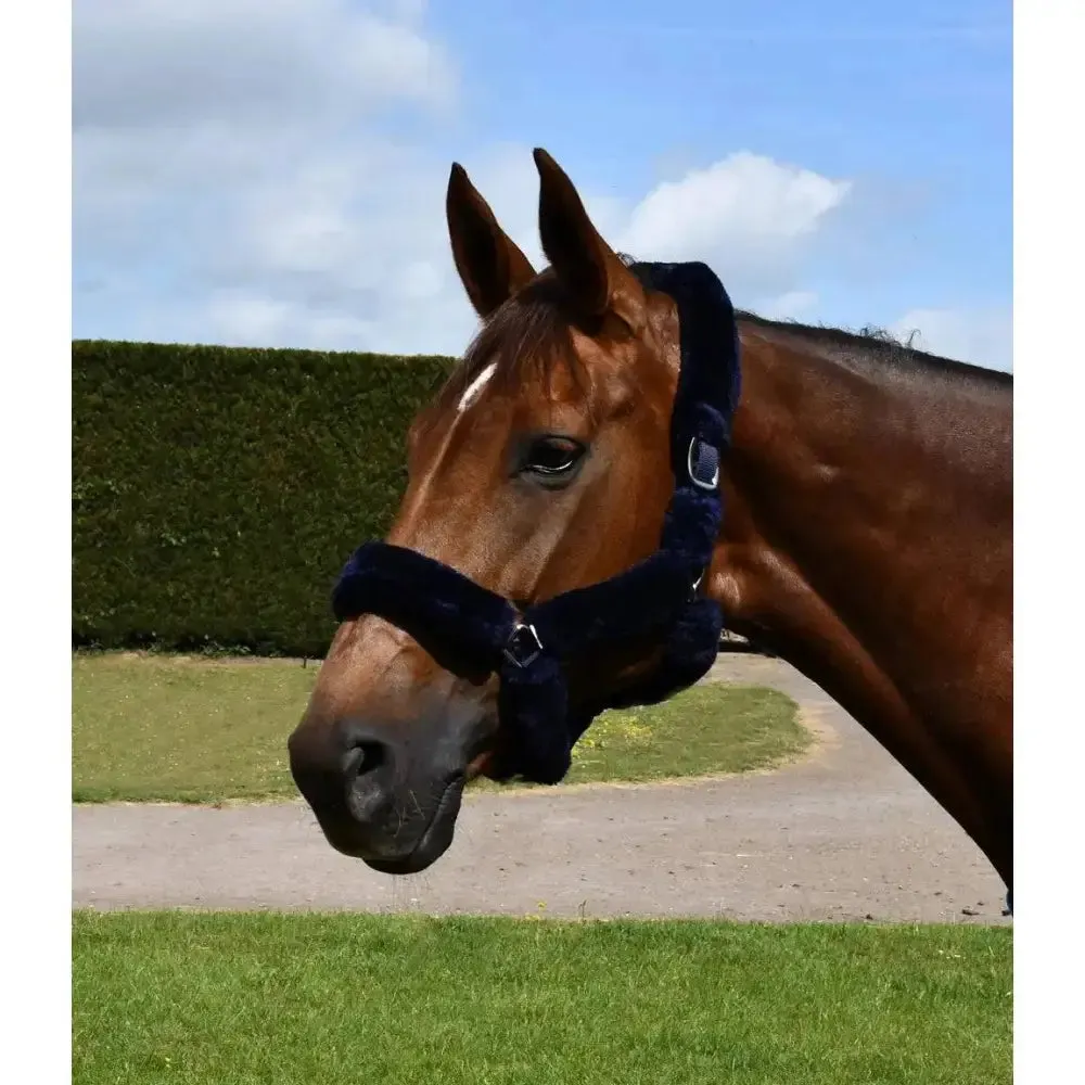 Rhinegold Fur Trim Headcollar