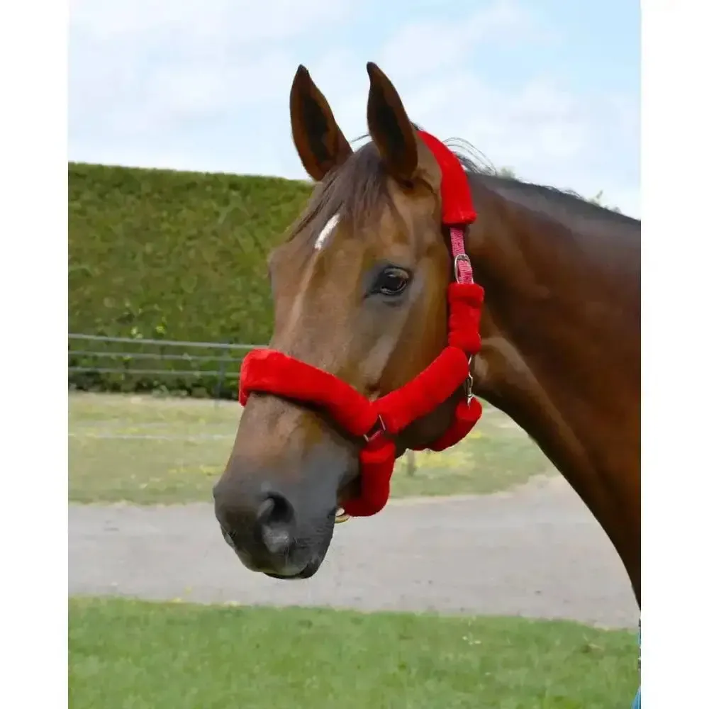 Rhinegold Fur Trim Headcollar
