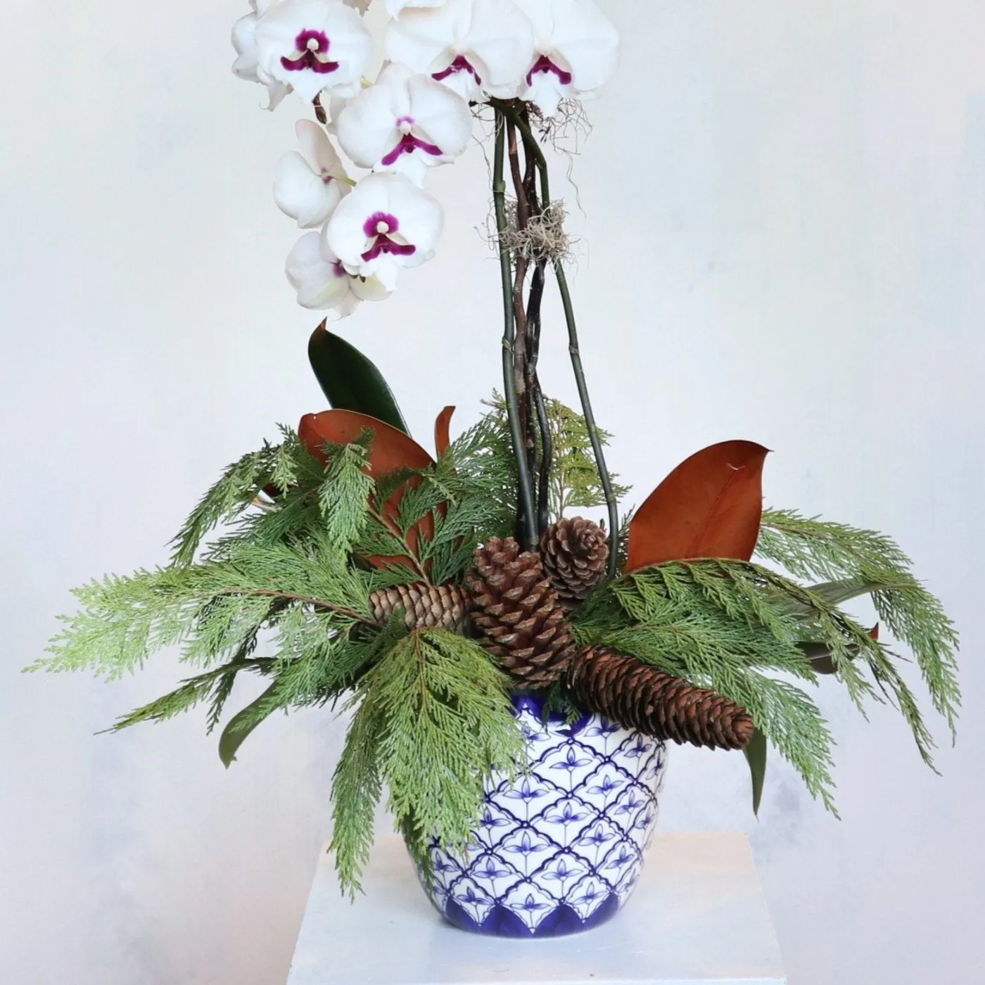 Stacy K Floral | Winter Woods Orchid