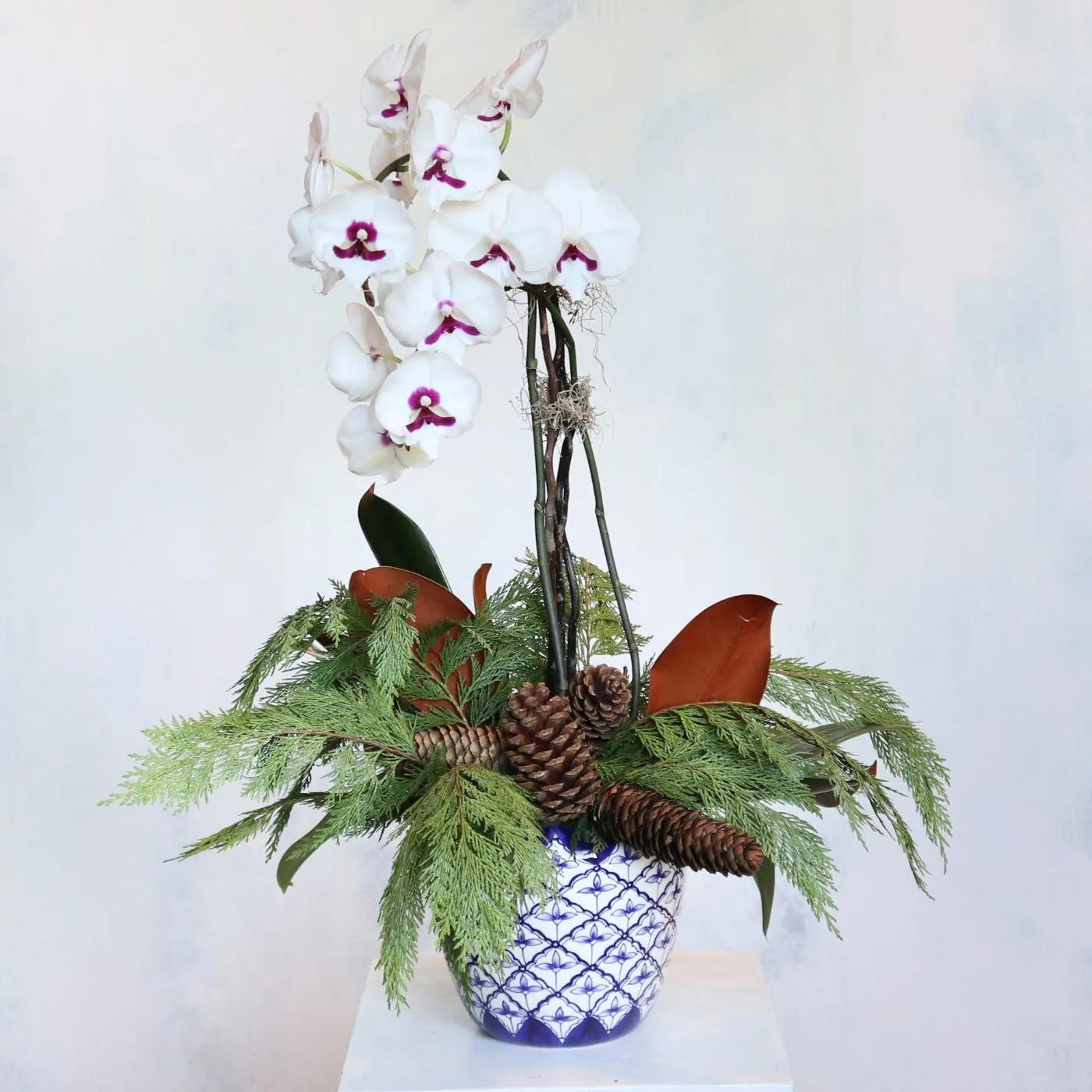 Stacy K Floral | Winter Woods Orchid