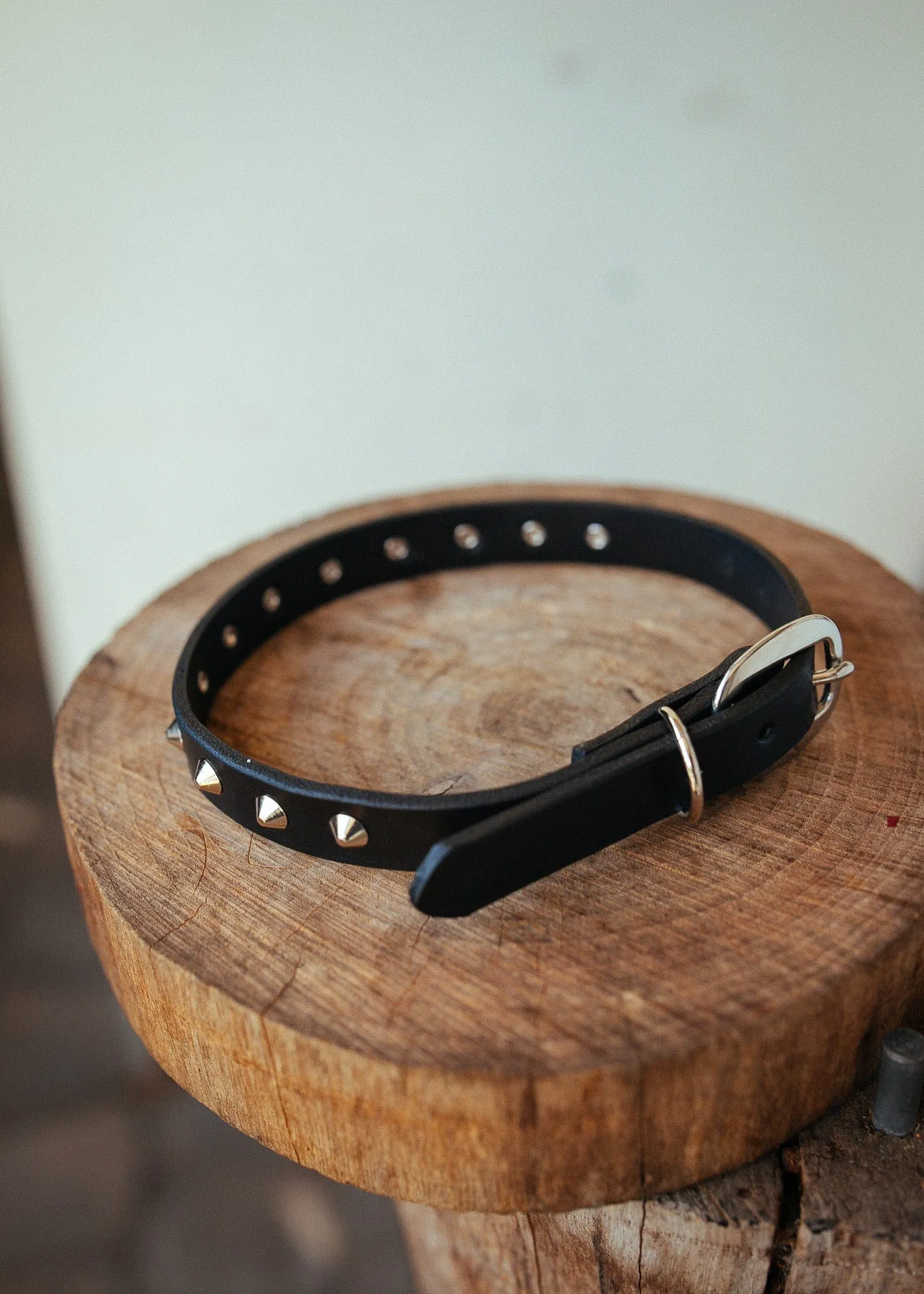 Studded Dog Collar - 20mm - Black