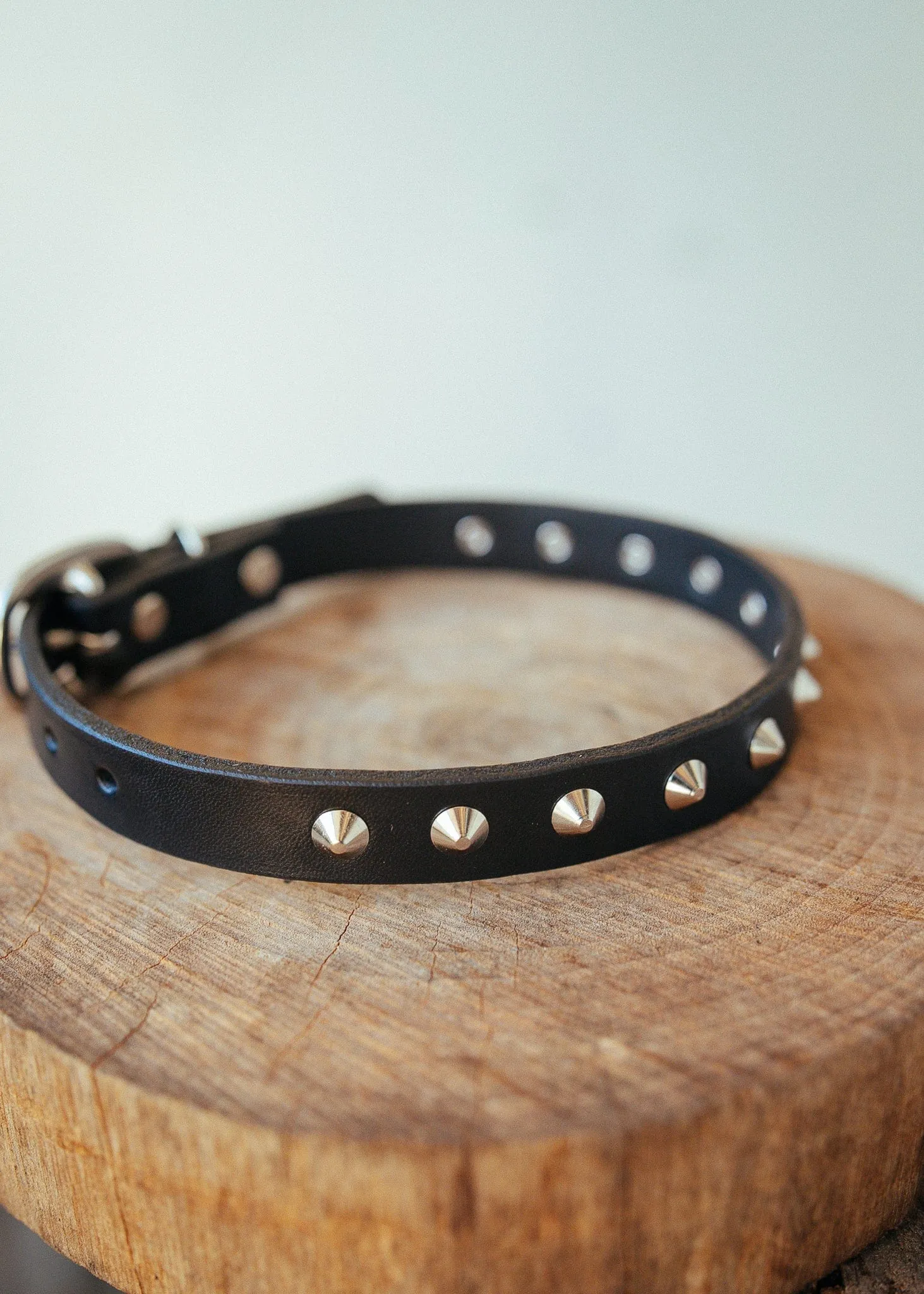 Studded Dog Collar - 20mm - Black