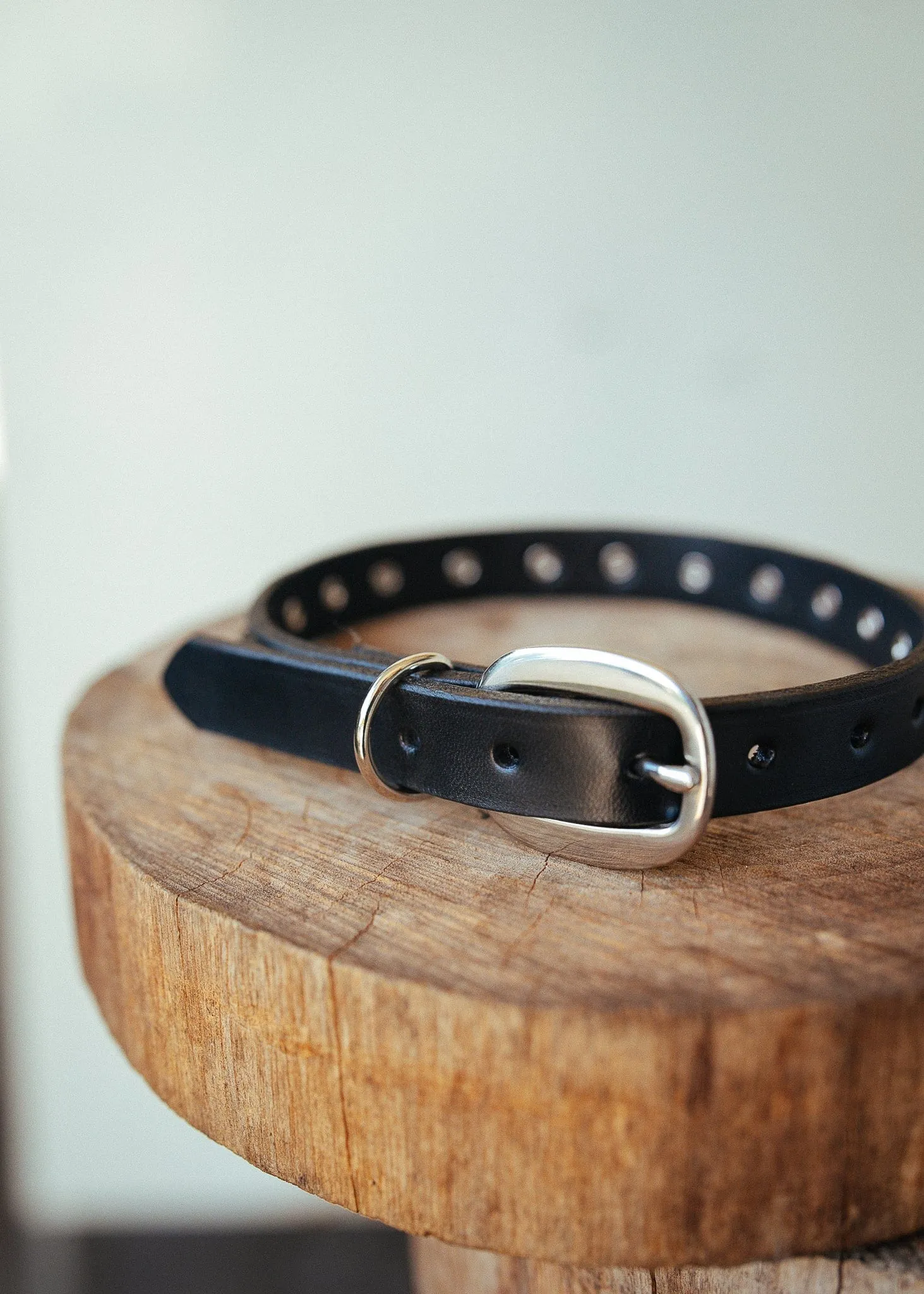 Studded Dog Collar - 20mm - Black