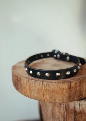 Studded Dog Collar - 20mm - Black