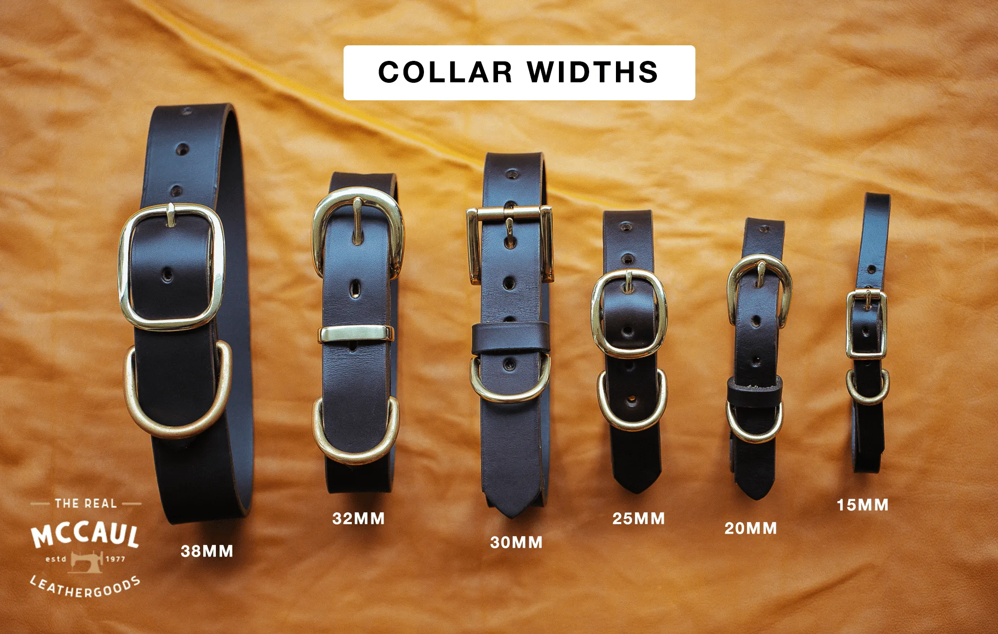 Studded Dog Collar - 20mm - Black