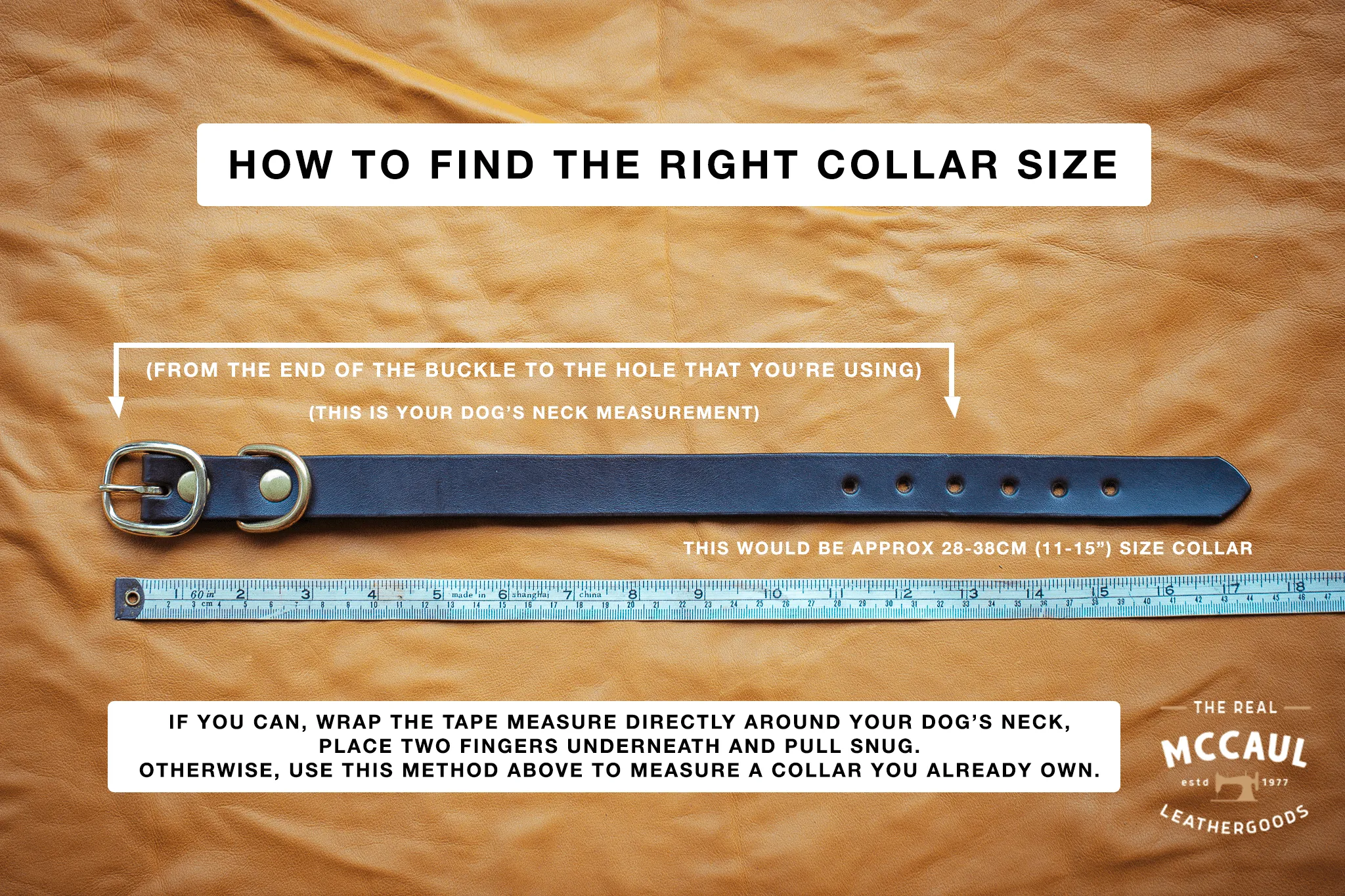 Studded Dog Collar - 20mm - Black