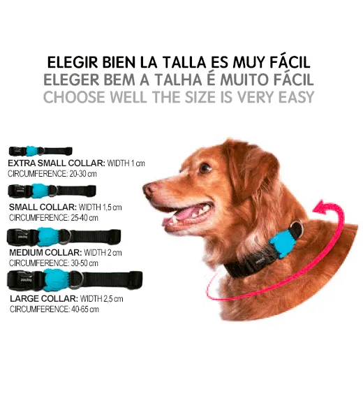Zee.Dog Pinna Collar